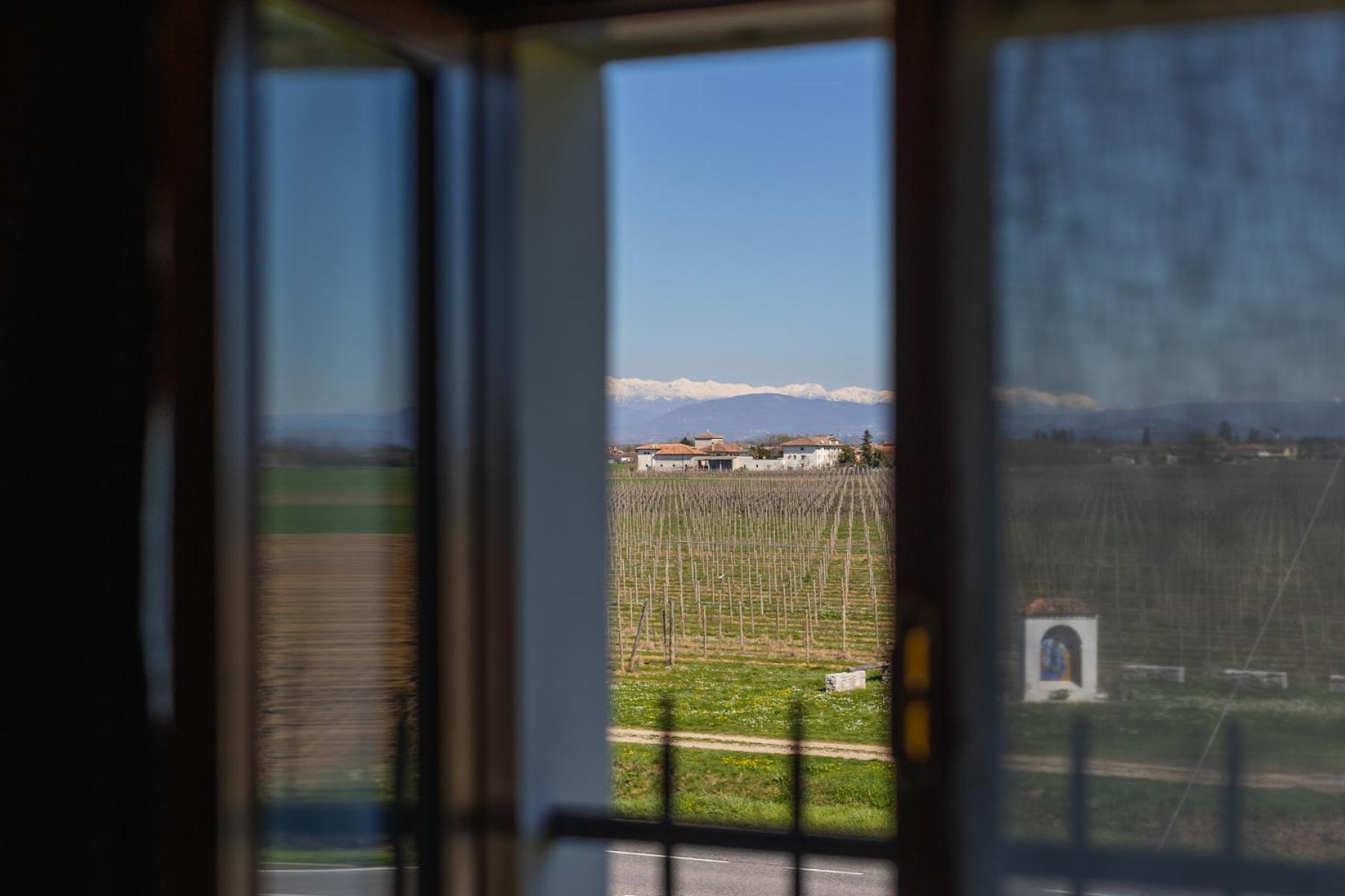 Agriturismo Mulino Delle Tolle Bagnario Arsa 外观 照片